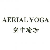 AERIAL YOGA 空中瑜珈