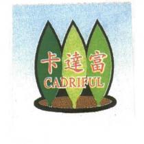 卡達富及圖 CADRIFUL
