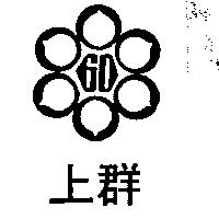 上群及圖