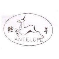 羚羊及圖 ANTELOPE