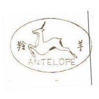 羚羊及圖 ANTELOPE