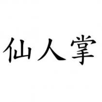 仙人掌