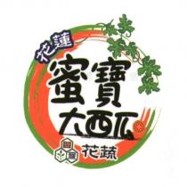 花蓮蜜寶大西瓜花蔬及圖