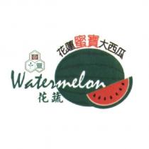 花蓮蜜寶大西瓜 WATERMELON 花蔬及圖