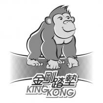 金剛踏墊 KING KONG 及圖