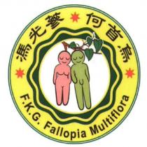 馮光蔘 何首烏 F.K.G. Fallopia Multiflora
