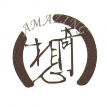 奇想 amazing 及圖