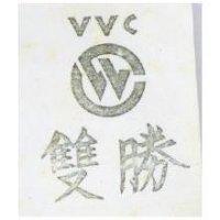雙勝及圖 VVC 
