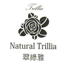 Trillia Natural Trillia 翠綠雅及圖