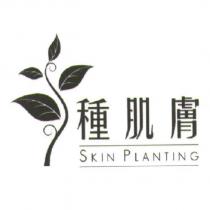 種肌膚 SKIN PLANTING 及圖