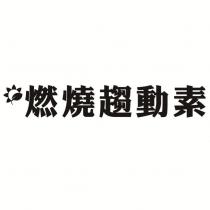 燃燒趨動素及圖