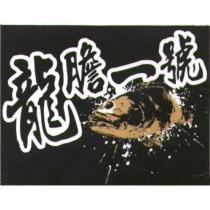 龍膽一號及圖