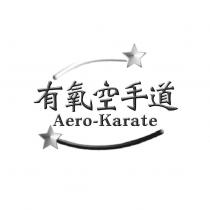 有氧空手道 Aero-Karate 及圖