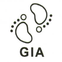 GIA 及圖