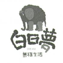 白日夢 DREAM 無框生活及圖
