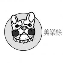 美樂絲及設計圖