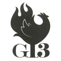G13 設計圖