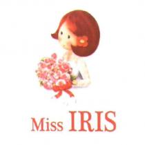 IRIS 捧花娃娃及圖