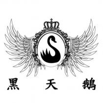 黑天鵝及圖