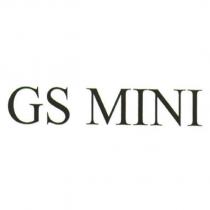 GS MINI