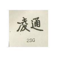 凌通 2SG 