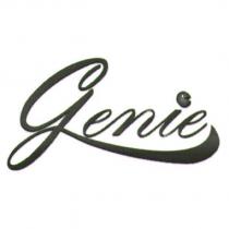 genie 設計字