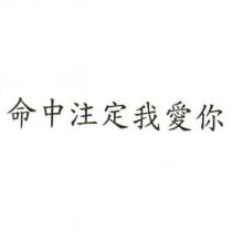 命中注定我愛你