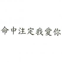 命中注定我愛你