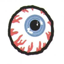 眼球圖