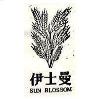 伊士曼及圖 SUN BLOSSOM