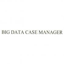 BIG DATA CASE MANAGER