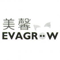 美馨 EVAGROW 及設計圖