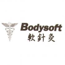 軟針炙 Bodysoft