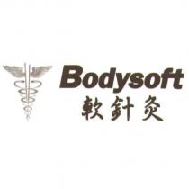 軟針炙 Bodysoft 及圖
