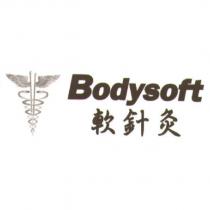軟針炙 Bodysoft