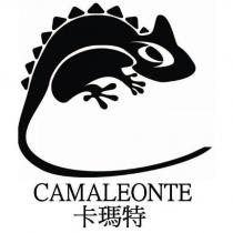 CAMALEONTE 卡瑪特及圖
