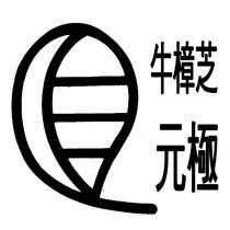 牛樟芝 元極及圖