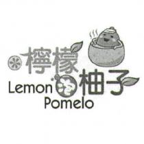檸檬泡柚子及設計圖 Lemon. Pomelo