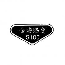 金海賜寶 S100 及圖