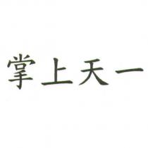 掌上天一