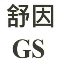 舒因 GS