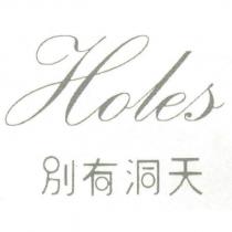Holes 別有洞天及其設計字