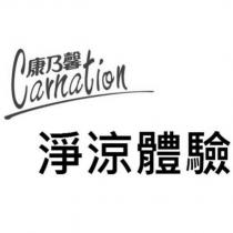 康乃馨 Carnation 淨涼體驗
