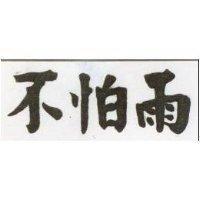 不怕雨
