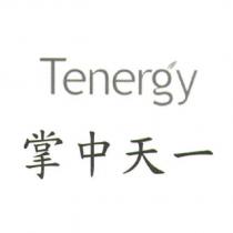 Tenergy 掌中天一