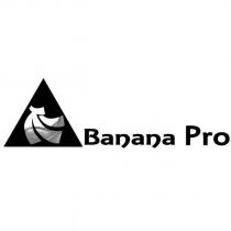 Banana Pro 及圖