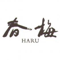 春梅 HARU
