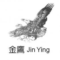 金鷹及圖 Jin Ying