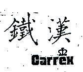 鐵漢及圖 CARQEX 