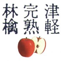 津輕完熟林檎及圖